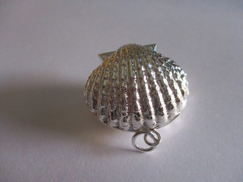 Gorgeous sterling silver pill